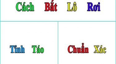 bat-lo-roi-chuan-xac